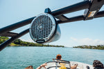 BAYLINER VR6 OB & IB