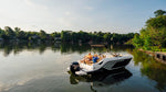 BAYLINER D22