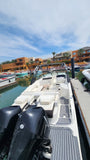 SEA RAY SDX290 2021