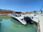 SEA RAY SDX290 2021