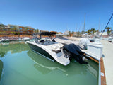 SEA RAY SDX290 2021