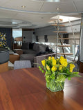 AZIMUT LEONARDO 98 2003