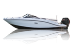 SEA RAY SPX 190